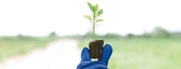 banner-corporate-solutions-pensions