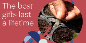 Zurich plant a tree for valentines poster