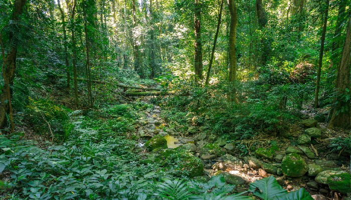 Why businesses should care about biodiversity