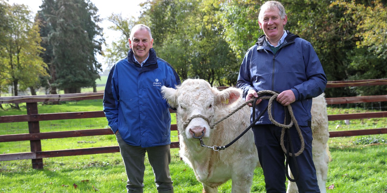 zurich farmer insurer presenting heifer to farmer
