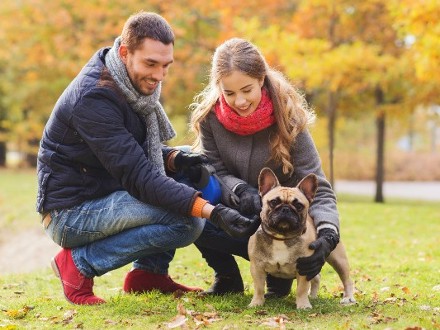 young couple with dog in park