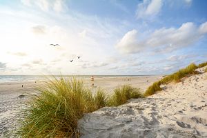 landscape photo of a beach
