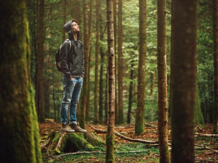 young man in forest