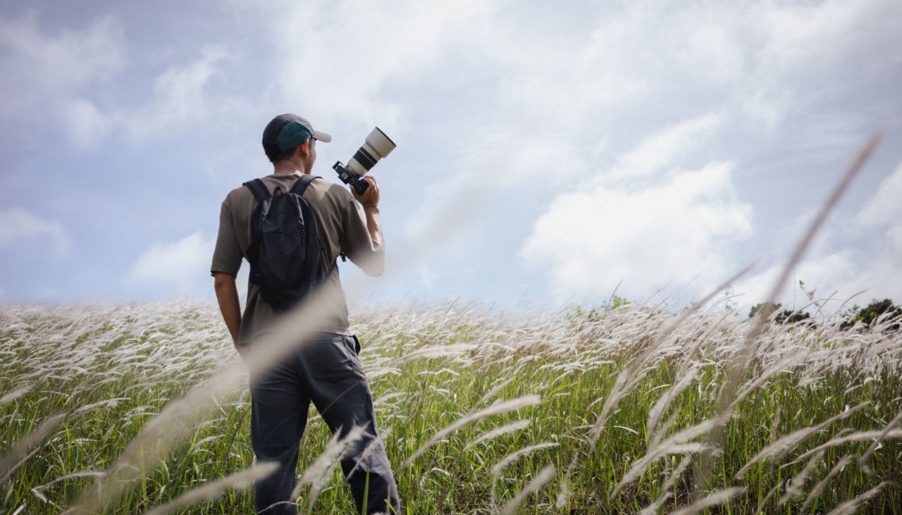 Cameraman standing holding camera in the middle of a meadow