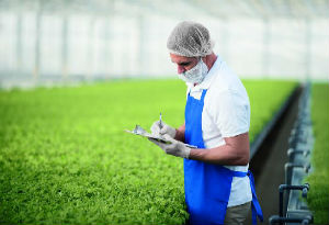 man-in-greenhouse-with-checklist