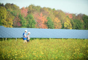 hard-hats-beside-solar-panels