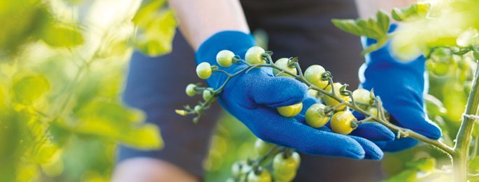 corporate-solutions-employee-enagement