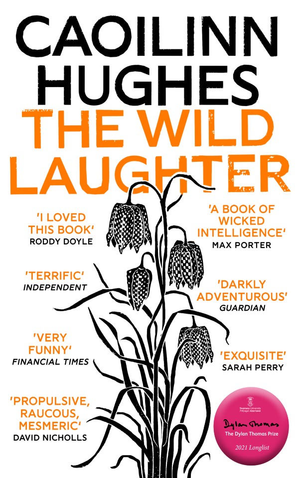Caoilinn Hughes book cover Wild Laughter