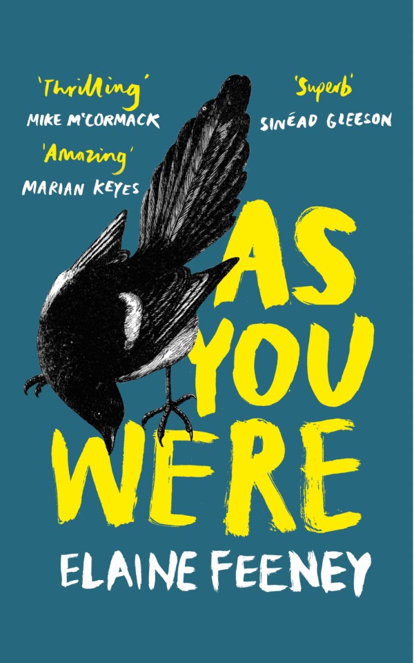 Elaine Feeney book cover