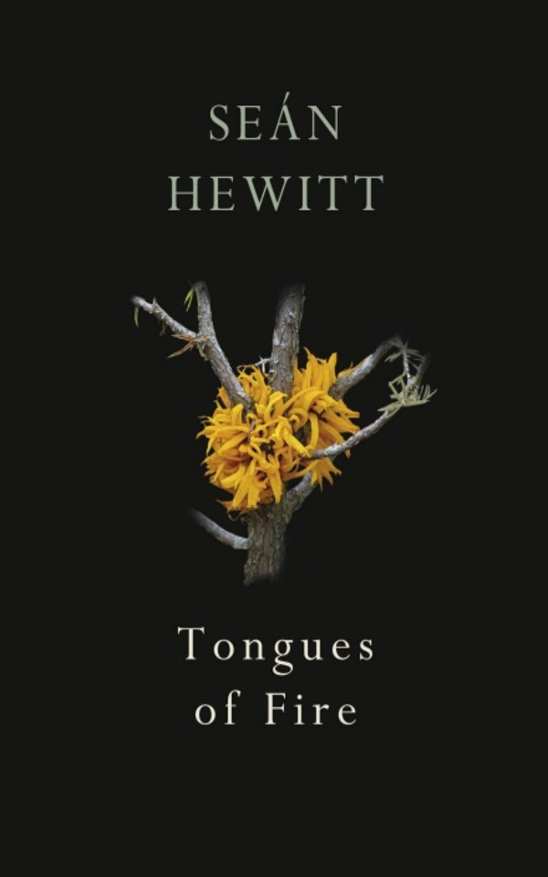 Sean Hewitt bookcover