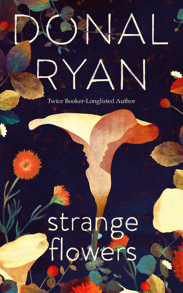 Donal Ryan book cover