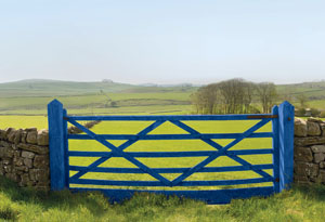 blue farm gate