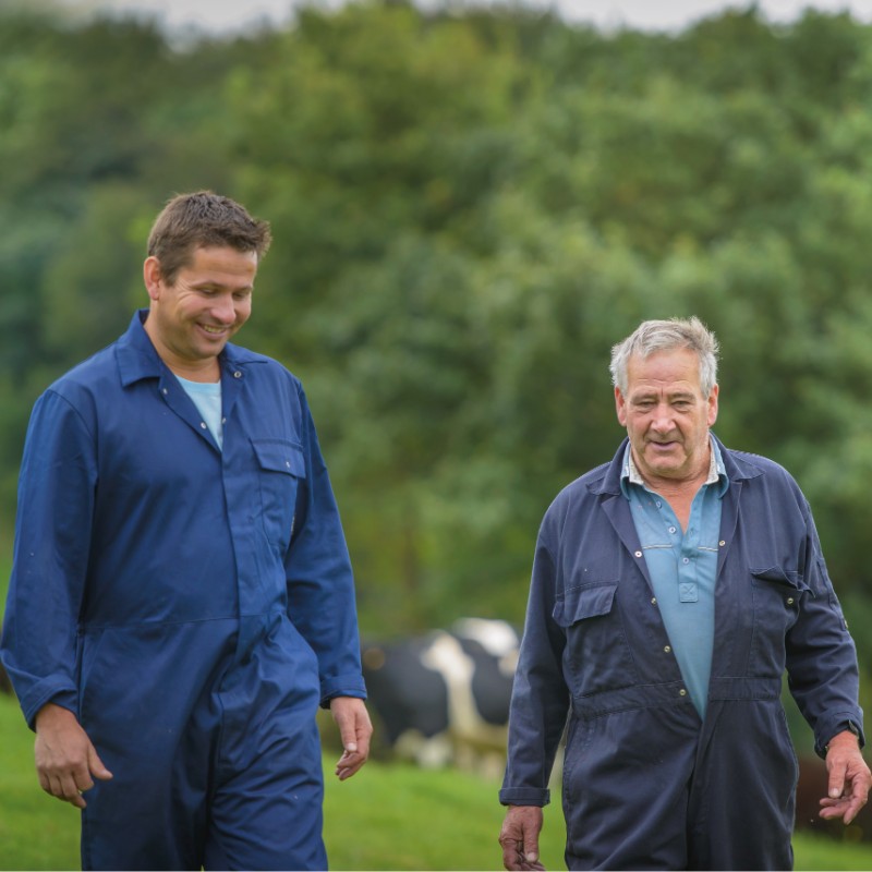 Two farmers walking in a field