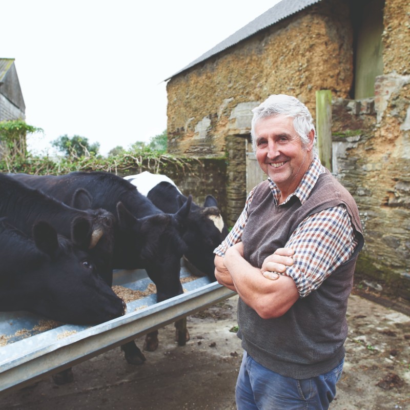 Irish farmer on farm with cows