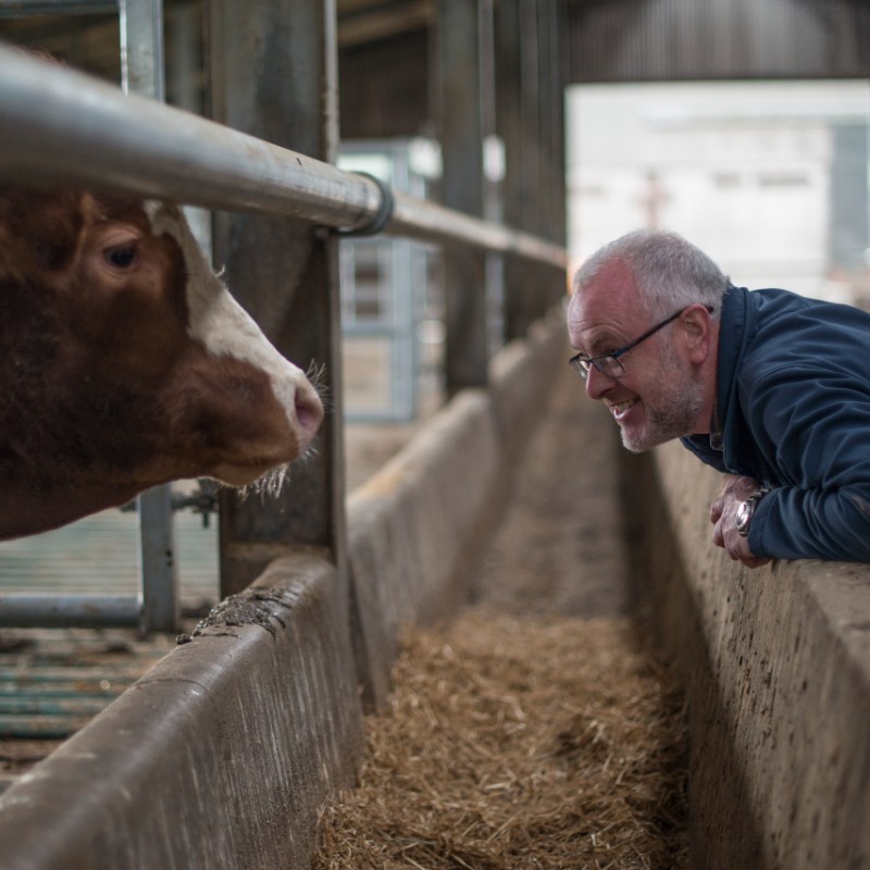 Meet our Farm Insurance Experts | Zurich Ireland