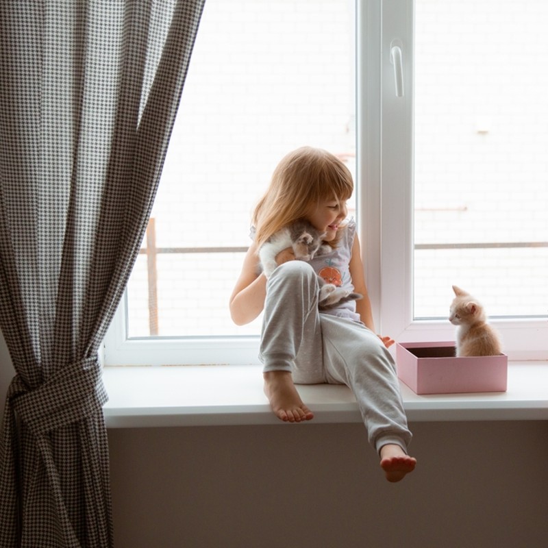 child at home playing with kittens