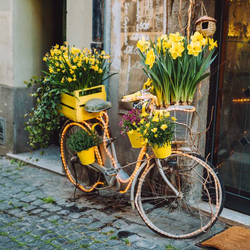 bicycle with lights and yellow flowers