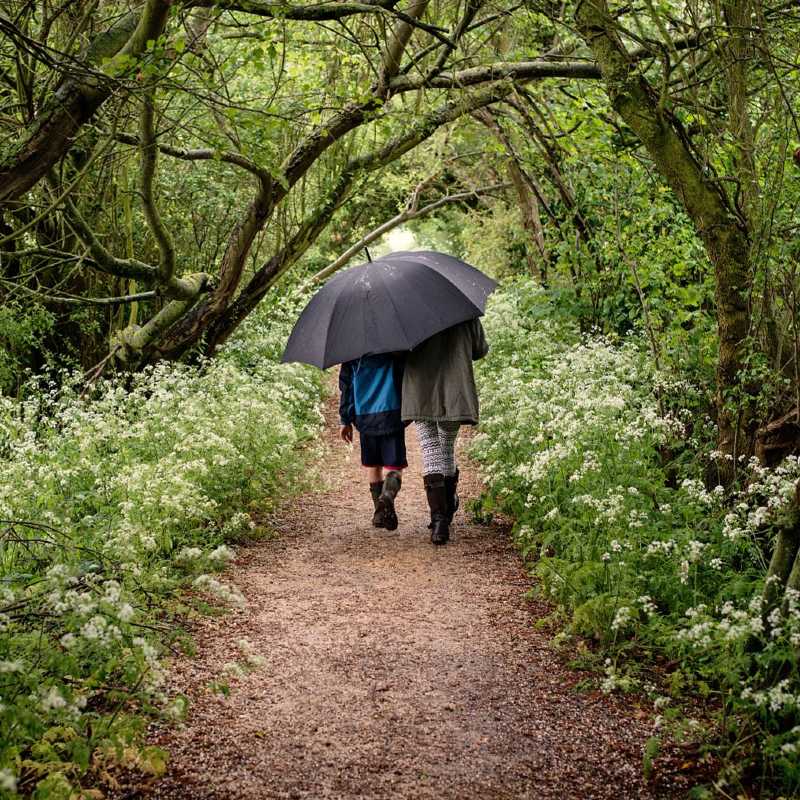 People walking in forest under umbrella